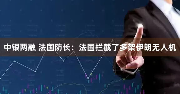 中银两融 法国防长：法国拦截了多架伊朗无人机