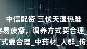 中信配资 三伏天湿热难耐，身体容易疲惫，调养方式要合理_中药材_人群_传统