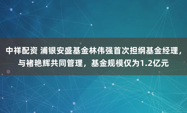 中祥配资 浦银安盛基金林伟强首次担纲基金经理，与褚艳辉共同管理，基金规模仅为1.2亿元