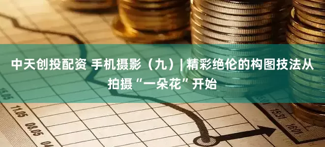 中天创投配资 手机摄影（九）| 精彩绝伦的构图技法从拍摄“一朵花”开始