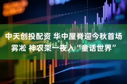 中天创投配资 华中屋脊迎今秋首场雾凇 神农架一夜入“童话世界”