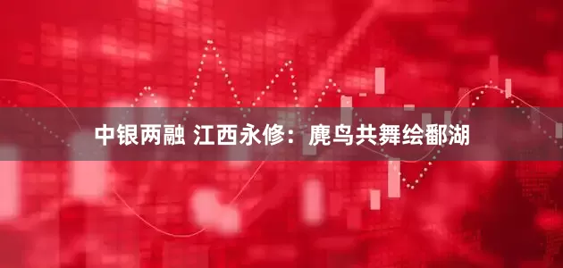 中银两融 江西永修：麂鸟共舞绘鄱湖